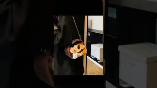 #cute #novelty #gifts #bagpack #backpack #dog #dogbackpack #shorts #shotsvideo #youtubeshorts #news