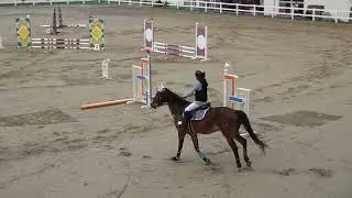 2025年全國障礙超越錦標賽(積分第4站) 積分賽－60cm 貼時賽 林沂潔