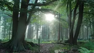 Time Machine. My version of this nice song written by Declan O' Rourke.