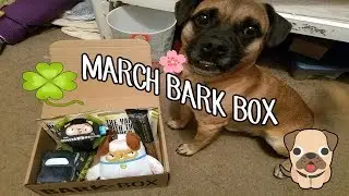 March BarkBox is Here!!