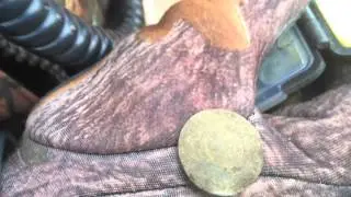 Metal Detecting Yorkshire