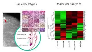 MLBIO Lecture 3: Preparing and Understanding your data