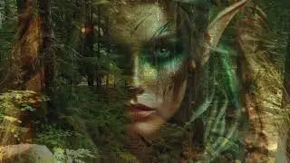 Celtic Dream, Zauberhafte Keltische Musik zum Entspannen | Sanfte Kl&auml;nge der Natur, W&auml;lder & Elfen