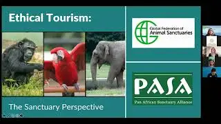 Ethical Tourism: The Sanctuary Perspective