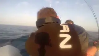 Tuna on Halco