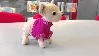 Интерактивная Собачка Chi Chi Love Чихуахуа 
