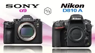 SONY Alpha &alpha;9 vs Nikon D810A