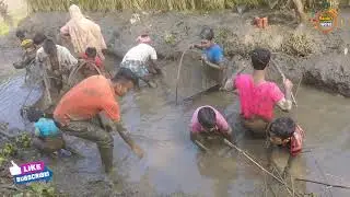 Asian traditional village  fishing | Old fishing system in bangladesh | R express