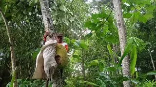 Memasak Cemilan Luar Angkasa || Nangka Goreng (Satelit)