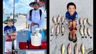 Bridge Fishing Channel 2 & Long Key (Mangrove,Yellowtail,black grouper &big tarpon)