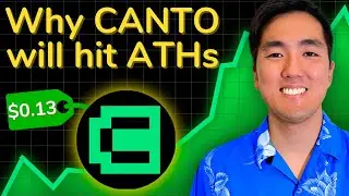 The CANTO Thesis