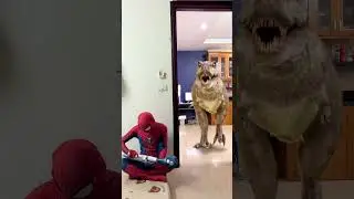 Spider Man vs Pacman, Zombie and  T Rex #shorts
