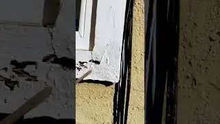 #termite #inspection in the #bayarea make sure you do proper repairs. #shorts #nextdoor #yelp