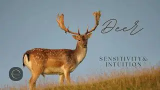 Deer Power Meditation 🦌 | Unlock Your Inner Wisdom & Safe Space