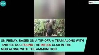 Sniffer Dog Helps In Recovery Of Two 303 Rifles From Assam Forest