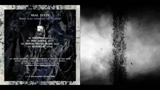 Naal Stayn : When Fear Enthralls Its Meaning [album 2016]