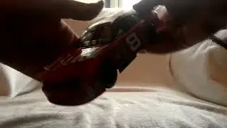 Diecast review: Dale Earnhardt Jr 2002 Budweiser Talladega win Chevy Monte Carlo