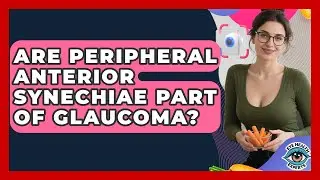 Are Peripheral Anterior Synechiae Part Of Glaucoma? - Eye Health Experts
