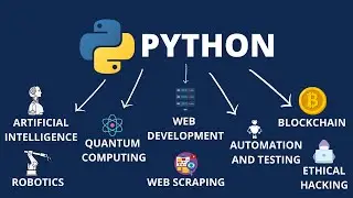 Python Programming Basics: Your First Step into the World of Coding