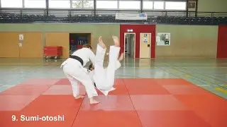 Judo || 2. Dan: Systematisierung - Te-waza #ZZD2 No. 40