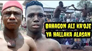 January 30, 2026 BAHAGON ALI KA'OJE YA SUMAR DA ALASAN 