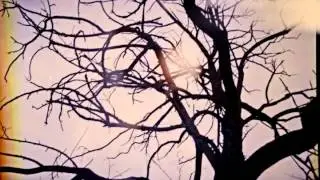 Hiver - Whatsoever | Bokhari 13 | 2015