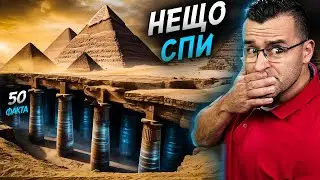 Истина или ЛЪЖА - 50 факта за 2025 година
