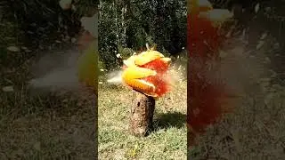 EXPLODING PUMPKINS! 🎃💥🎃💥🎃💥 #shorts