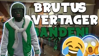 Brutus Overtager Krokodillebanden!🤣😱