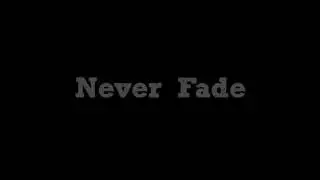 Never Fade / II-L Remix - amelie xoxo
