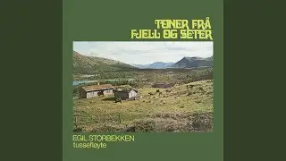 Fjell-lengt
