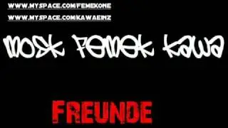 Mosk, Femek, Kawaeinz - Freunde