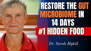How to Restore the Gut Microbiome In 14 Days | The #1 Secret Food to Healing Your Body | Dr Sarah