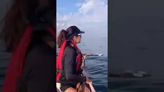 😱 BALEIA D&Aacute; UM SUSTO NAS BANHISTAS 😆 #shorts
