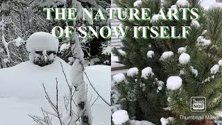 SNOW: NATURE&rsquo;s IN ITS PERFECT ARTS | BEAUTIFUL FORMS AND SHAPES