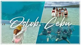 OSLOB, CEBU TOUR PACKAGE 2023 | Whale Shark, Sumilon, etc. | Cebu Vlog Part 3 w/ budget & itinerary