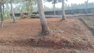 വളരെ വിലക്കുറവിൽ അടിപൊളി ഹൗസ് പ്ലോട്ടുകൾ ഓണർ നമ്പർ9048914714 Realestate Kerala Kochi Thrissur 