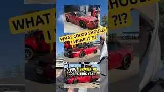 COMMENT DOWN BELOW OR VOTE IN MY &ldquo;POSTS&rdquo; SECTION OF MY CHANNEL !! #terminator #svt #cobra #wrap