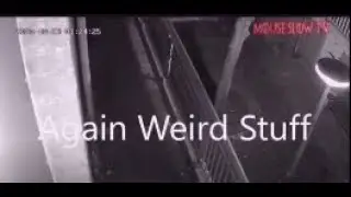Weird creature moves in front of camera