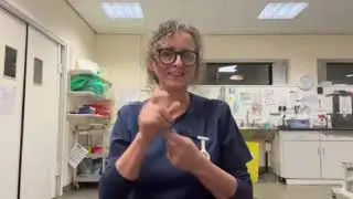 Julie Beckett: The deaf veterinary nurse who is passionate about sharing information in BSL