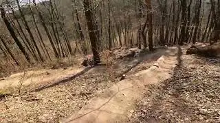 MTB Weisshauswald Trier (bikepark)