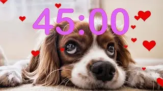 45 Minute 💗 Valentine's Day 💗 Puppy Dog Countdown Timer