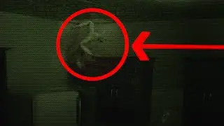 𝙸𝚝 𝚕𝚒𝚟𝚎𝚜 𝚒𝚗 𝚝𝚑𝚎 𝚑𝚘𝚞𝚜𝚎.