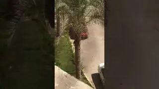 The coward scum motherfucker, Jerry Nadler hacking people&rsquo;s cars to persecute Christians in Egypt!
