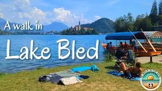 Gorgeous Lake Bled, Slovenia | 4K Walk