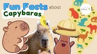 🐾 Everyone Loves Capybaras | Fun Facts | Educational Video for Kids | Animal Facts for Kids