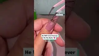Real spider in my nail art 👀