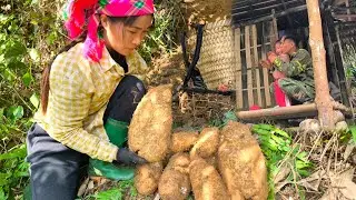 While digging up wild yam, the single mother remembered the man who had helped her and her child.