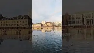 Frozen lake, birds on ice ☃️#shorts #viral #europe #germany