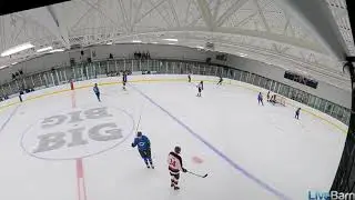 Growlers vs Fighting Loons Black (C3 AHA) Jan 3 - Goal Highlights (OT Win)